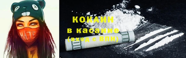 сатива Баксан