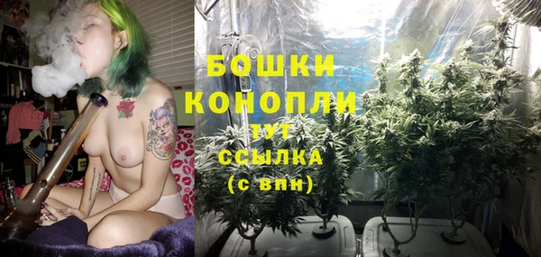 гидра Беломорск